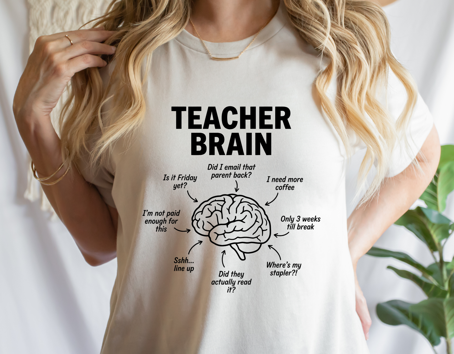 Teacher Brain